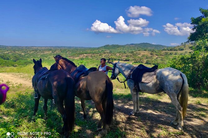Countryside Horseback Riding Eco-Adventure Near Cartagena - Reviews