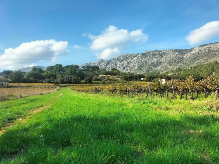 Countryside Immersion With Horseback Ride in Sainte Victoire - Local Delicacies and Refreshments