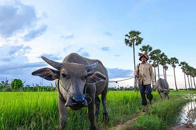 Countryside & Livelihood Tour by Jeep - Half-day - Itinerary Highlights