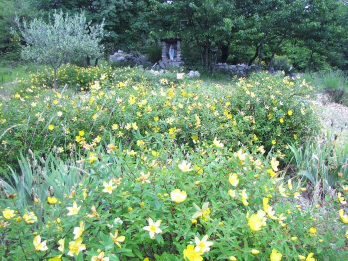 Countryside, Medieval Village and Lake Private Guided Tour - Saut Du Loup Waterfalls