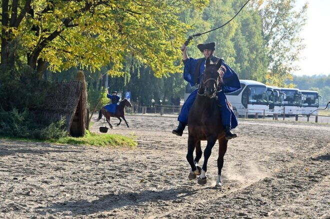 Countryside Ranch, Horse Show & Lunch - Transportation Information