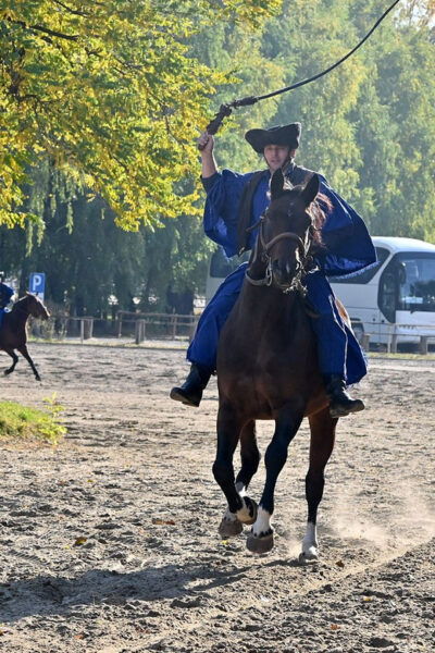 Countryside Ranch, Horse Show & Lunch - What to Prepare