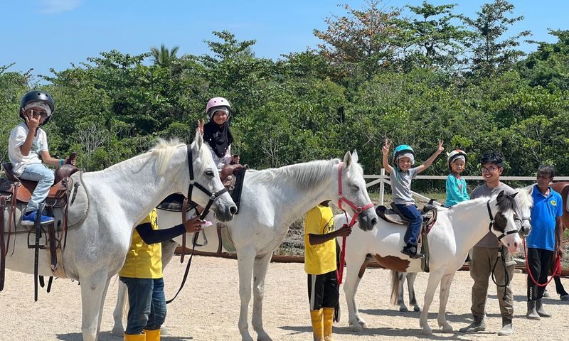 Countryside Stables Admission Ticket in Penang - A quiet ranch visit in Balik Pulau