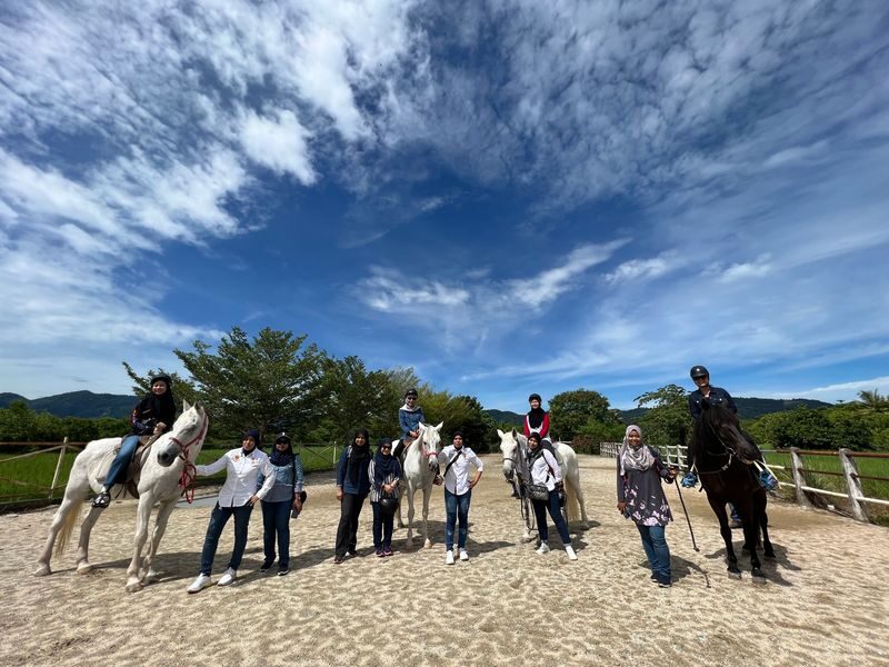 Countryside Stables Admission Ticket in Penang - Getting close to horses, ponies and donkeys