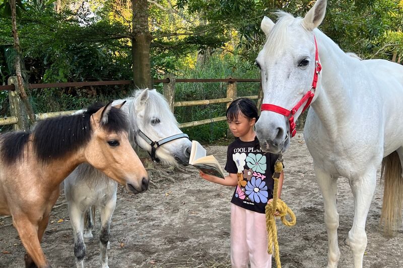 Countryside Stables Admission Ticket in Penang - A slow walk and a rural pause