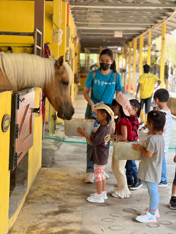 Countryside Stables Admission Ticket in Penang - The journey is part of the decision