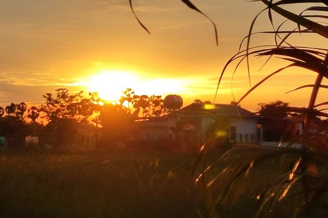 Countryside Sunset Bike Tours - Common Questions