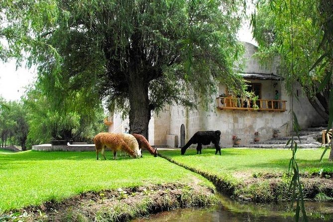 Countryside Tour Arequipa - Tour Inclusions