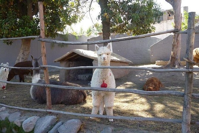 Countryside Tour Arequipa - Logistics and Meeting Details