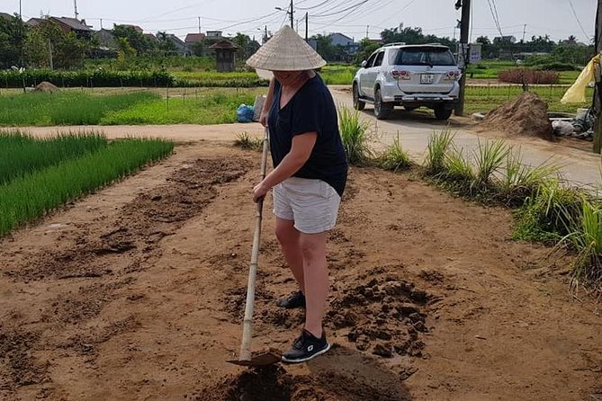 Countryside Tour of Hoi An, Basket Boat, Buffalo Ride, Farming With Local Farmer - Customer Reviews
