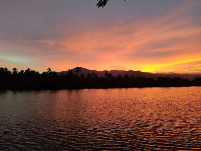 Countryside tours include pepper plantations - What to Expect from the Kampot Countryside Tour