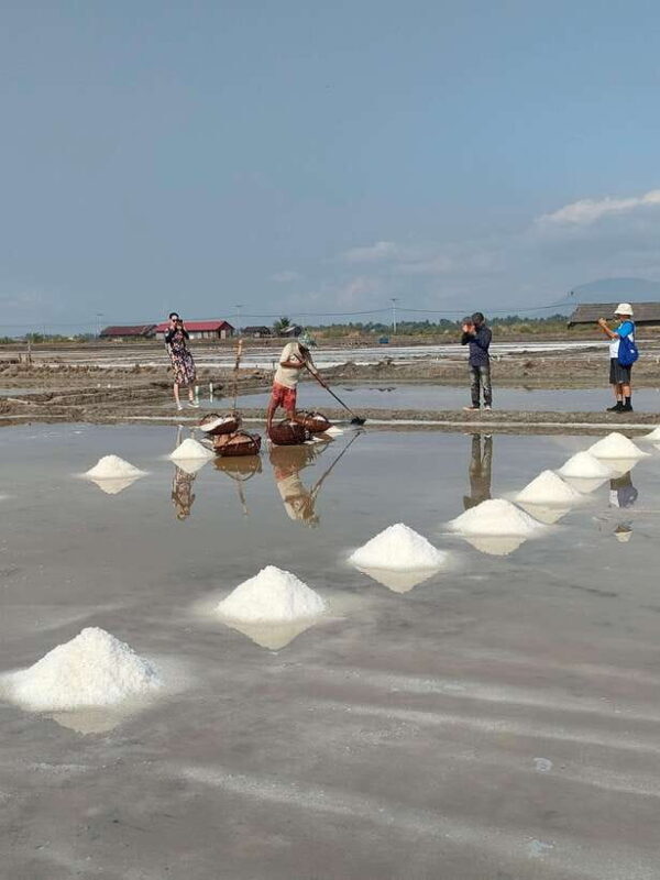 Countryside tours include pepper plantations - Final Words