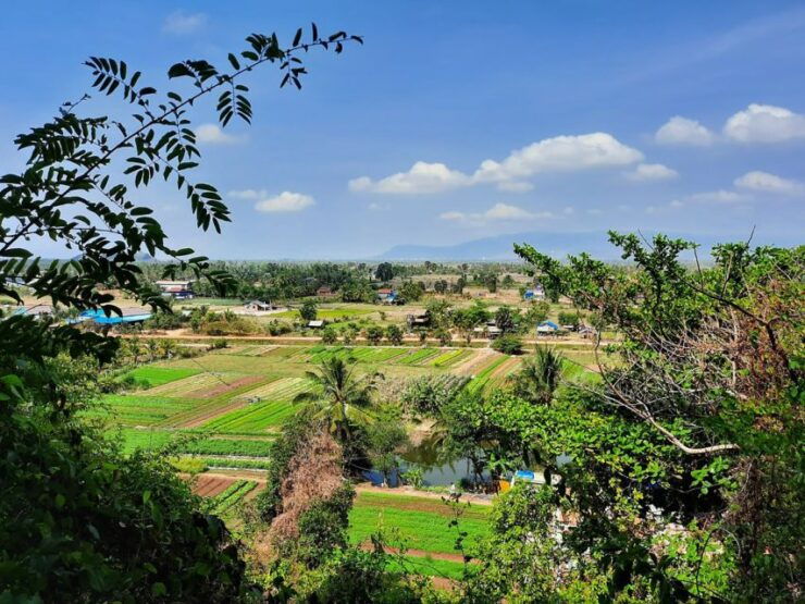 Countryside Tuk-Tuk Pepper Tour - Pickup and Location