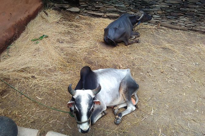Countryside Village Tour- an Authentic Village Visit - Inclusions