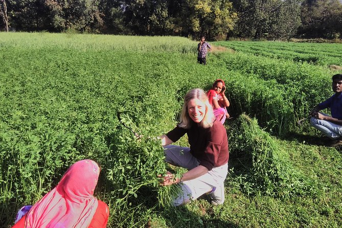 Countryside Village Tour- an Authentic Village Visit - Meeting and Pickup