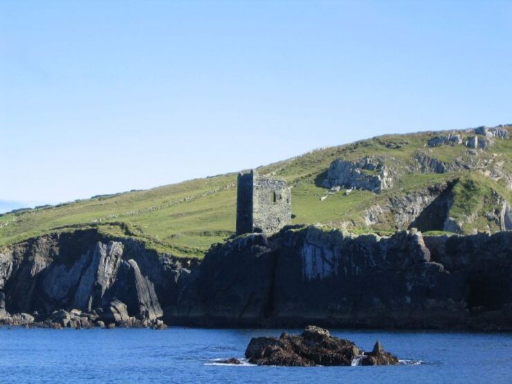 County Cork: Whale & Dolphin Watching Boat Trip - Activity Details