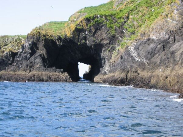 County Cork: Whale & Dolphin Watching Boat Trip - Directions
