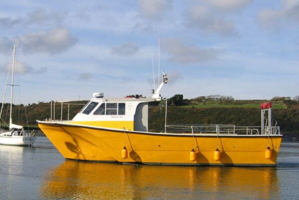 County Cork: Whale & Dolphin Watching Boat Trip - Common Questions