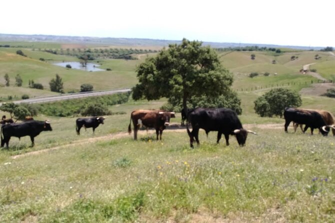 County Wines Route - Winery Selection