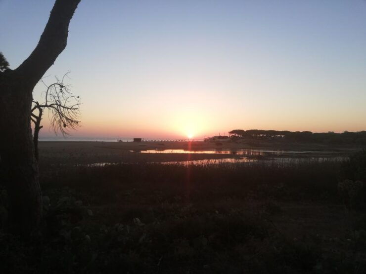 Couples Journey to Connection - The Art of Self Love - Self-Love: The Foundation of Connection