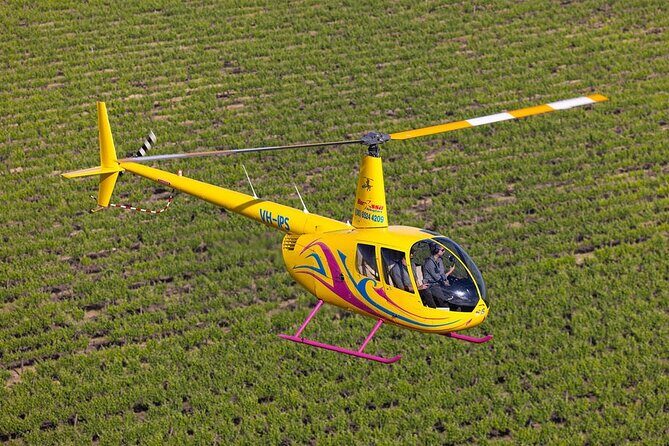 Couples Romantic Picnic - Authentic Insights from Reviewers