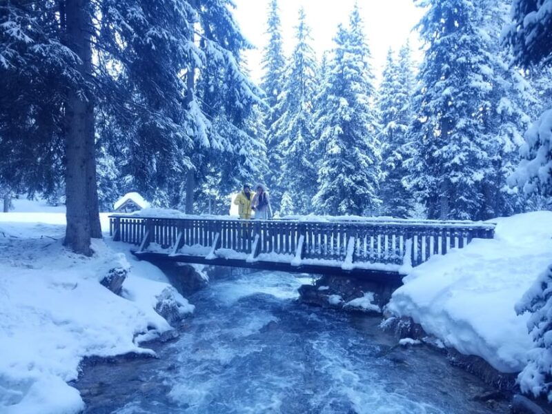 Courchevel: Snowshoeing or Nordic Walking - Guided Experience With Local Experts