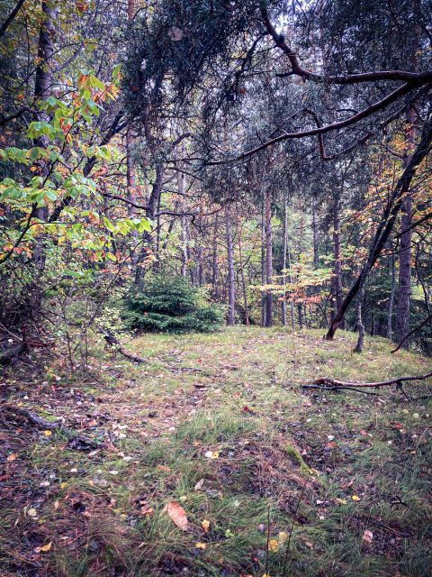 Courmayeur: Find Your Inner Goddess in Forest - Embrace the Serenity of Nature