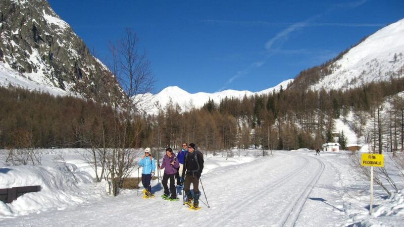 Courmayeur: Sunset Snowshoeing and Farm Animal Visit - Good To Know