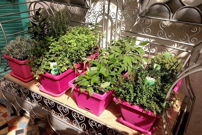 Cours De Cuisine Privé Français Dans Une Maison Locale À Nice (Après-Midi) - Sample Menu for the Cooking Lesson