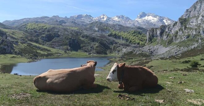 Covadonga and Historical Centers of Cangas De Onís and Lastres - Tour of Cangas De Onís