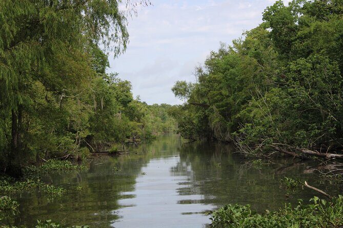Covered Boat Swamp Tour with Transportation from New Orleans - Exploring the Tour Itinerary in Detail