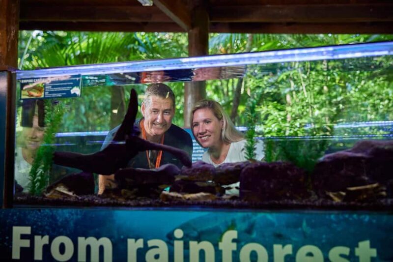 Cow Bay: Daintree Discovery Centre Entry Ticket - Good To Know