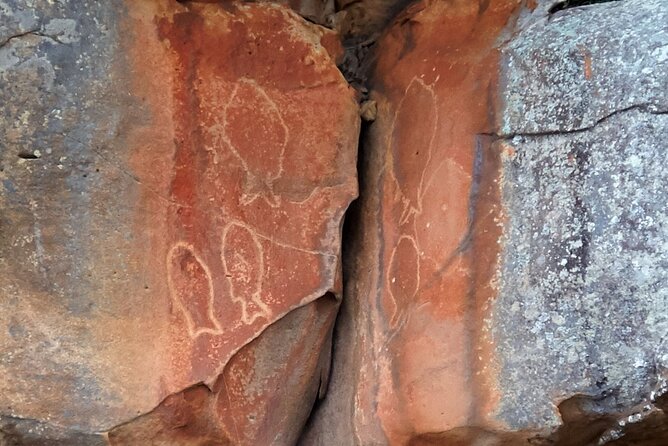 Cowan Creek Lunch Paddle With Aboriginal Rock Art - Tour Overview