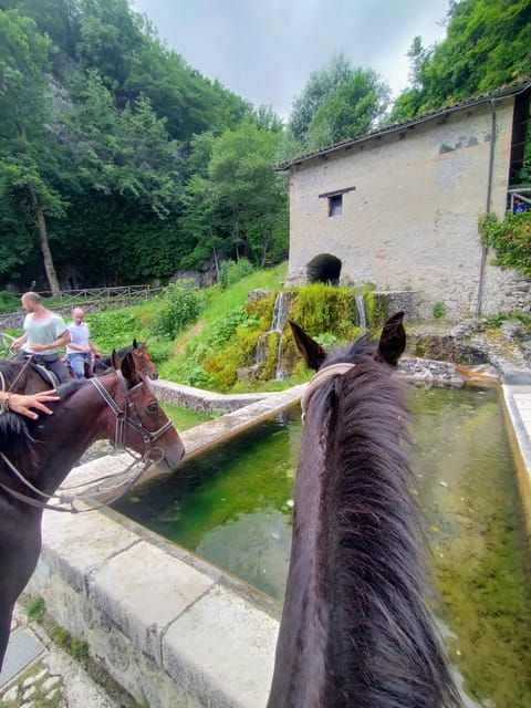 Cowboy Adventure Day Around Rome - Itinerary Highlights