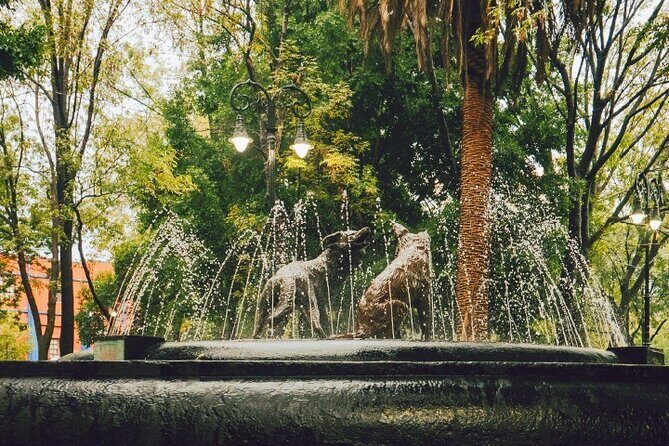 Coyoacán and Xochimilco Private Tour - Practical Details and Considerations