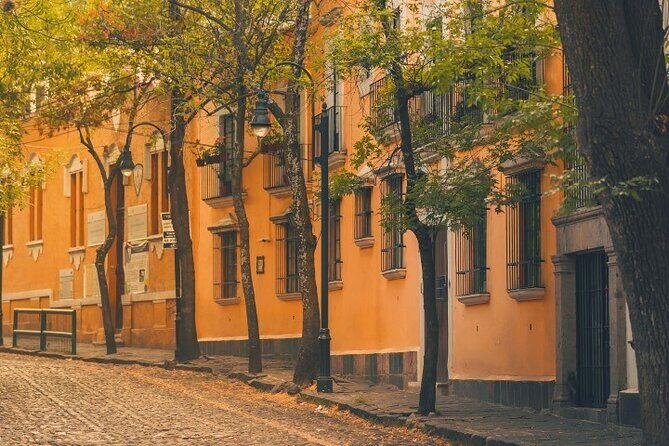 Coyoacán and Xochimilco Private Tour - FAQ