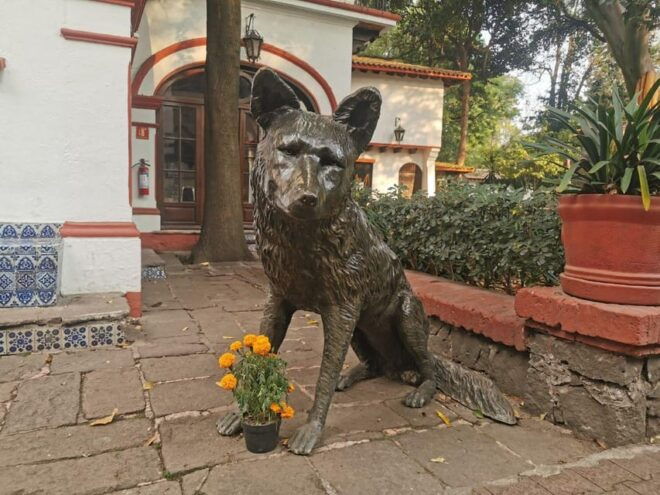Coyoacan Walking Tour: Myths, Legends, and Local Secrets - Artistic Spirit and Local Legends