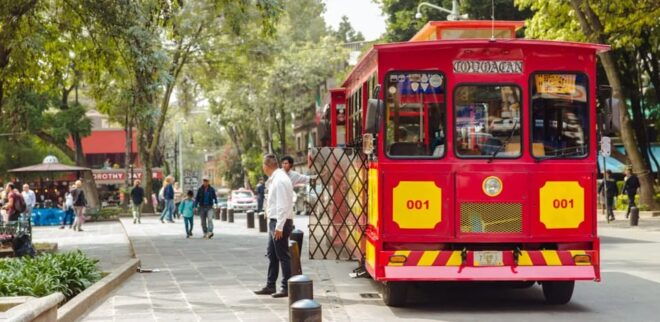 Coyoacán & Xochimilco: Discover an Oasis in Mexico City - Recommendations