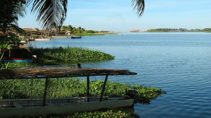*Coyuca Lagoon Tour and Baby Turtle Release - Experience Highlights