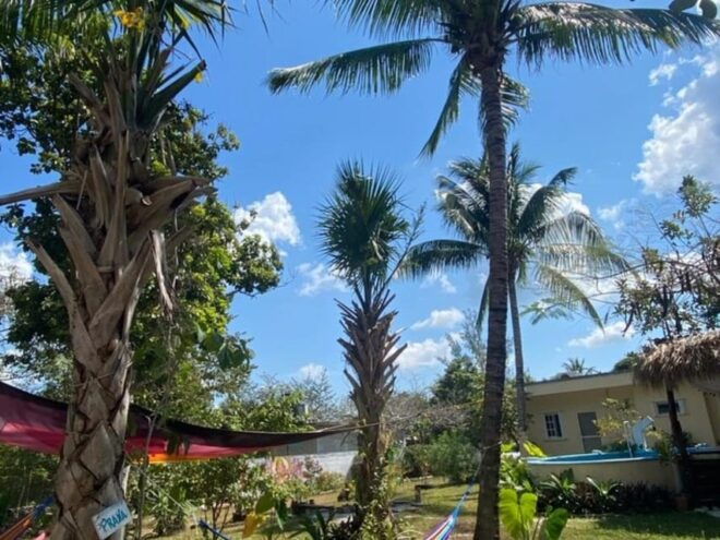 Cozumel: 10 Day 200-Hour Yoga Teacher Training - Certification and Inclusions