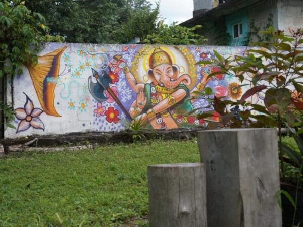 Cozumel: 10 Day 200-Hour Yoga Teacher Training - Pricing and Booking
