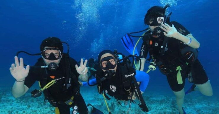 Cozumel: 2-Tank Dive Trip With Lunch and Transfers - Good To Know
