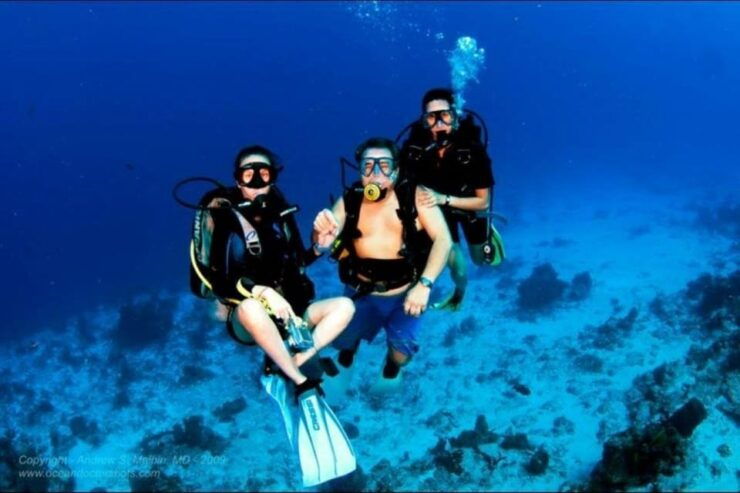 Cozumel: 2-Tank Dive Trip With Lunch and Transfers - Experience Highlights