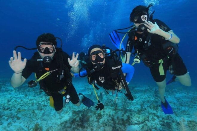 Cozumel: 2-Tank Dive Trip With Lunch and Transfers - Itinerary Details