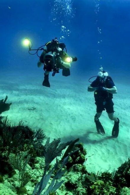 Cozumel: 2-Tank Dive Trip With Lunch and Transfers - Inclusions