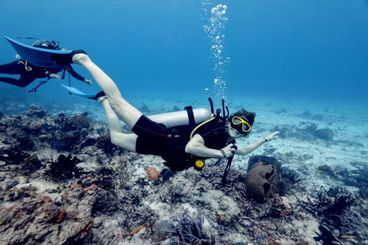 Cozumel: 2 Tanks Certified Scuba Diving - Double the Adventure: 2 Tanks Dive