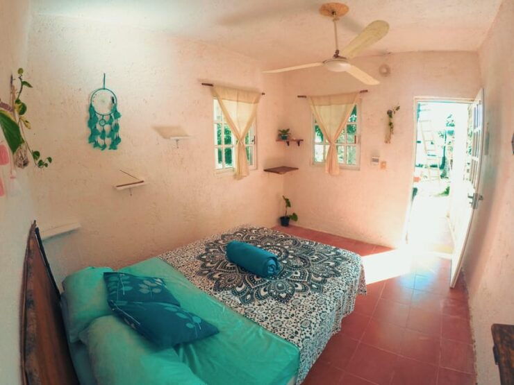 Cozumel: 6 Days Yoga, Sound Healing, and Dive Retreat - Good To Know