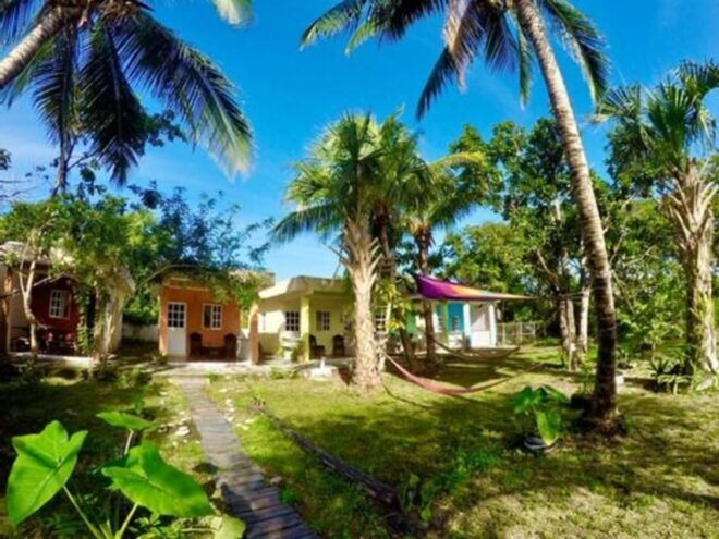 Cozumel: 6 Days Yoga, Sound Healing, and Dive Retreat - Airport Transfer and Transportation