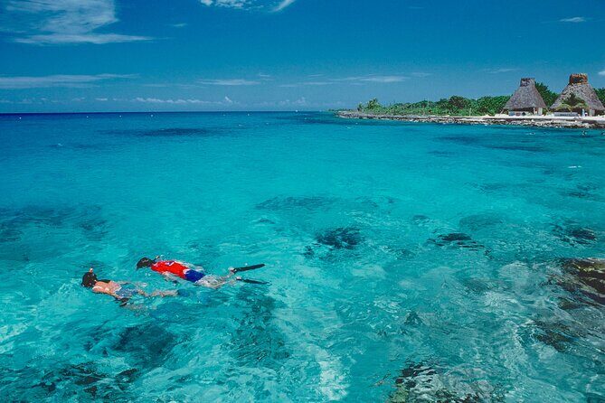 Cozumel Adventure! 2 hours Snorkel + Round Transportation from Cancun - Who Should Consider This Tour?
