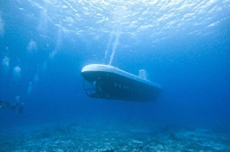 Cozumel: Atlantis Submarine Adventure - The Experience in Detail